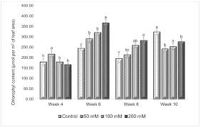 Image result for Sarcocornia decumbens