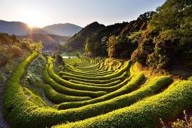 Jabatan meteorologi malaysia menerusi facebook miliknya berkongsi amaran tahap pertama suhu itu selama 3 hari di muar, kepong, maran, kinta, kuala. Musim Panas Di Jepun Melancong Ke Jepun