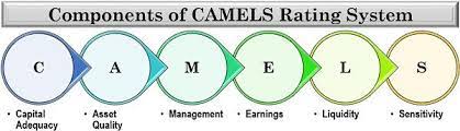 The liquidity component of the camels rating refers to. What Is Camels Rating System Definintion Components Factors Numerical Ratings Purpose The Investors Book
