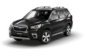 Subaru Forester 2019 Colors Pick From 8 Color Options