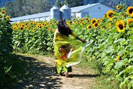 𝓢𝓾𝓷𝓯𝓵𝓸𝔀𝓮𝓻 𝓢𝓪𝓻𝓮𝓮 🌻 𝐈𝐫𝐢𝐧 (@irinhossain ): Got this saree  few Autums back, wanted to drape it of course in a sunflower field. But,  umm..the saree was a beaut and could not resist