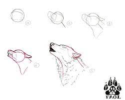 Tuto Comment Dessiner Un Loup 2 Page 4 Comment Dessiner Un Loup Tete De Loup Dessin Comment Dessiner Un Renard