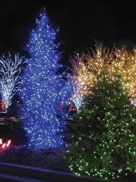 Outdoor Christmas Tree Light Ideas Outdoor Christmas Tree Outdoor Christmas Christmas Lights