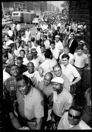 Bildergebnis für Shelly Rusten