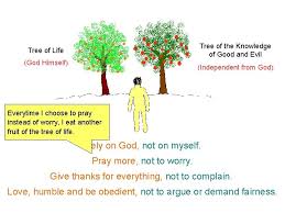 Check spelling or type a new query. Basic Principles Of The Bible Two Trees Tree