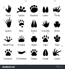 Image Result For Koala Bear Feet Animal Footprints Animals Wild Animal Silhouette