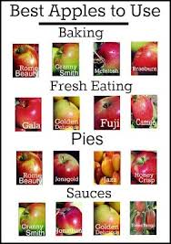 Which Apples To Use For Each Purpose Pinner Handy Apple