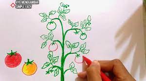 Maybe you would like to learn more about one of these? Ayo Menggambar Buah Tomat Untuk Anak How To Draw Tomato For Kids Youtube