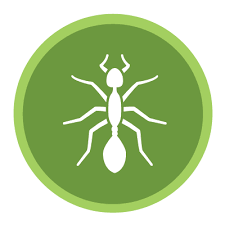 Quality pest control for greater austin, tx homes & businesses. Austin Green Pest Control With Green Pest Guys