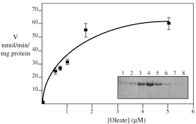 The official page of carmen sandiego. Affinity Labeling Fatty Acyl Coa Synthetase With 9 P Azidophenoxy Nonanoic Acid And The Identification Of The Fatty Acid Binding Site Journal Of Biological Chemistry