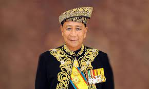 Sosok sultan ageng tirtayasa, sejak muda, sudah dikenal di kalangan masyarakat sebagai salah seorang putra bangsawan yang menyukai seni budaya bahkan mampu memainkan wayang dan permainan budaya yang lain di masa itu. Tunku Sallehuddin Almarhum Sultan Badlishah Dimasyhurkan Sebagai Sultan Kedah Yang Ke 29 Air Times News Network