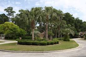 Sellers on ebay offer a large inventory of options, from full sets to individual pieces such as pillows and blankets. Halifax Plantation Phase 1 Your Community Website