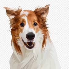 1920x1080 doge hd wallpaper and background image>. Custom Digital Dog Portrait Stray Face 2385110 Png Images Pngio
