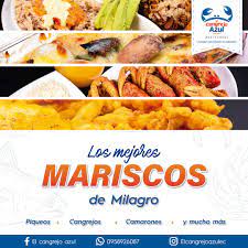 El águila real, el cangrejo cocotero, el tiburón y la araña camello se pelean por el puesto de criatura más aterradora con el oso del sol y el cocodrilo de agua salada. El Cangrejo Azul Fotos Milagro Opiniones Sobre Menus Precios Restaurantes Facebook