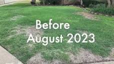 An Allen Lawn's Amazing Lawn Health Transformation - YouTube