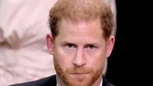 Prince Harry Accused Of Petulant Bid To Regain Charity Role