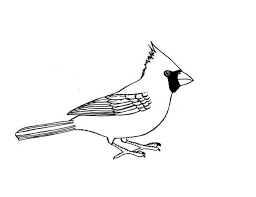 The red cardinal has many symbolic meanings to people of different cultures and faiths. Cardinal Bird Image Coloring Page Coloring Sun