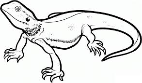 The original format for whitepages was a p. Free Printable Lizard Coloring Pages For Kids