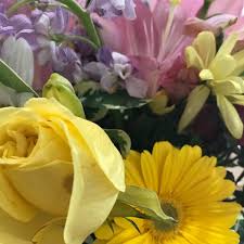 Find their customers, contact information, and details on 3 shipments. Vine Street Market Riverview Stuart Heights Chattanooga Tn