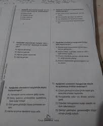Cevaplari Soyleyebilir Misiniz Eodev Com