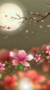 At phoneky, you will find many other wallpapers, backgrounds, home and lock screen images of different genres, from nature and sports to the cars and funny hd mobile wallpapers. Beautiful Mobile Wallpapers 4k Hd Beautiful Mobile Backgrounds On Wallpaperbat