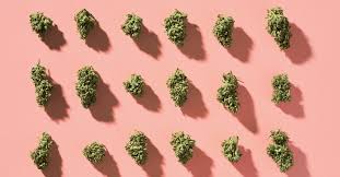 How To Stop Smoking Weed Cold Turkey Gradually With Help