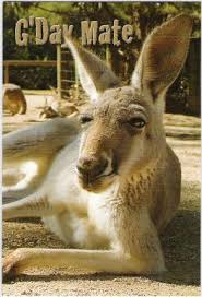 G Day Mate Aussie Australia Australian Animals Australia History