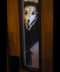 This teach all of Yall : rSCPMemes