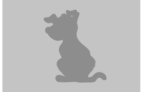 Image result for lucernský honič