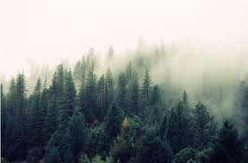Find the best aesthetic wallpapers on getwallpapers. Green Fog Aesthetic Desktop Wallpapers Hd Transparent Png Original Size Png Image Pngjoy