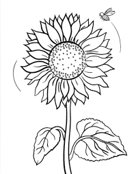 Sunflower Coloring Page Sunflower Coloring Pages Bee Coloring Pages Fall Coloring Pages