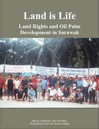 We did not find results for: Land Is Life Forest Peoples Programme