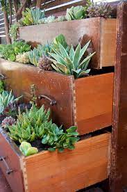 It is not always possible in cold climates to have a succulent garden outside, but you can grow them indoors in containers. Top 10 Diy Outdoor Succulent Garden Ideas