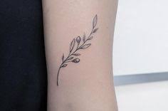 Pin Von Leo Laumann Auf Tattoos Olivenzweig Tattoo Oliven Tattoo Botanisches Tattoo
