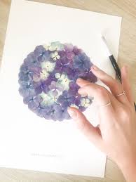 Herbier Hortensia Art Des Fleurs Pressees Collage Fleurs Fleurs Pressees