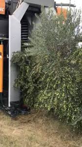 Machine Pour La Recolte D Olive Pellenc Socoopec Societe De Cooperation Economique Facebook