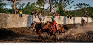 Camel racing is a popular sport in western asia, north africa, the horn of africa, pakistan, mongolia and australia. Boy Jockeys In Indonesia Risk Injury And Death Stopchildlabor