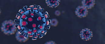 Communicate new designations and findings with member states and public through established updates on vocs & vois. New Covid 19 Strain Uk What Is The New Coronavirus Variant Bbc Science Focus Magazine