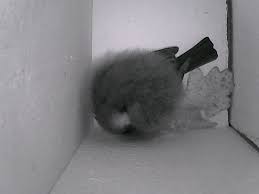 Image result for site:byggahus.se Vingåker