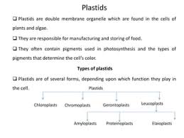 Plastids | Ppt
