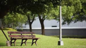 A Park Bench In The Stock Footage Video 100 Royalty Free 3030667 Shutterstock