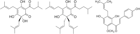 A bitter crystalline antibiotic c 26 h 38 o 4 that is obtained from lupulin. Lupulon An Overview Sciencedirect Topics