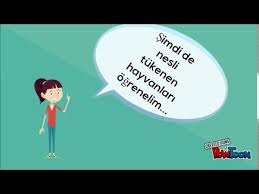 Nesli Tukenen Ve Tukenmekte Olan Hayvanlar Youtube
