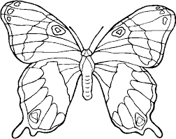 Una Raccolta Di Popolare Farfalla Disegno Da Colorare Disegni Da