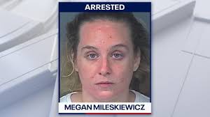 Two airlifted to hospital after dog attack in Wales as 37 other animals  seized