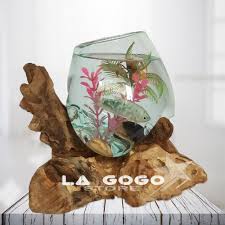 Dengan nuansa kemerah merahan yang terbentuk oleh proses alam, batu ini mempunyai daya tarik tersendiri untuk anda aplikasikan pada dinding interior maupun eksterior rumah anda. Aquarium Akar Bali Aquarium Ikan Cupang Aquarium Unik Diamter 15cm