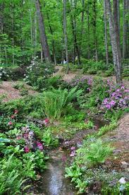 Maybe you would like to learn more about one of these? Staci And Michael S Wedding Gardens At Serenity Cove Creek Landscaping Woodland Garden Landscape Design
