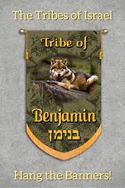 The Blessings Of The Tribe Of Benjamin Jacob S Blessing Genesis 49 27 Benjamin Is A Ravenous Wolf In The Sons Of Jacob Book Of Matthew 12 Tribes Of Israel