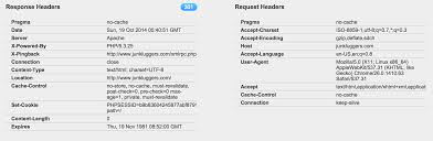 Mast hai (its good ) 10 years a. Website Loads Twice Unnecessarily Wordpress Development Stack Exchange