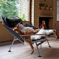 How To Shop For Pet Friendly Furniture For Your Home Pet Friendly Furniture Eclectic Chairs Lounge Chair Design